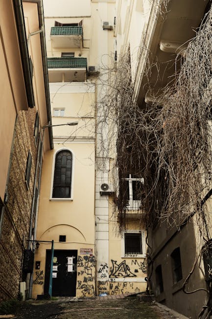 A narrow alleyway between two multi-storey buildings in an urban residential area, showing the exterior facades with varied window styles, some with balconies and others with air conditioning units. On the left, a partially visible brick wall and an arched doorway are present, while on the right, a large, leafless tree with dense, intertwining branches leans against the building, partially obscuring a small window. The ground is paved with uneven cobblestones or concrete, leading towards a closed black door with graffiti and posters taped to its surface, suggesting an entrance to a private residence or storage space. In the background, additional building balconies with metal railings are visible, and the sky is not directly shown but implied to be overcast through muted lighting. Man and Van New Cross, a professional removals company, may be involved in planning or executing a home relocation that involves navigating tight urban streets, with furniture transport and packing logistics typical of city-based moving services.
